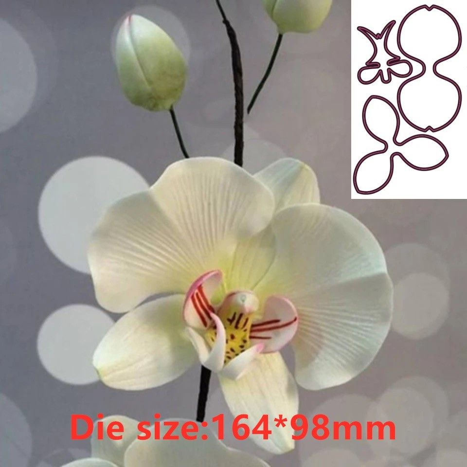 Orchid Phalaenopsis - Orchid Flower Metal Cut Dies Stencils