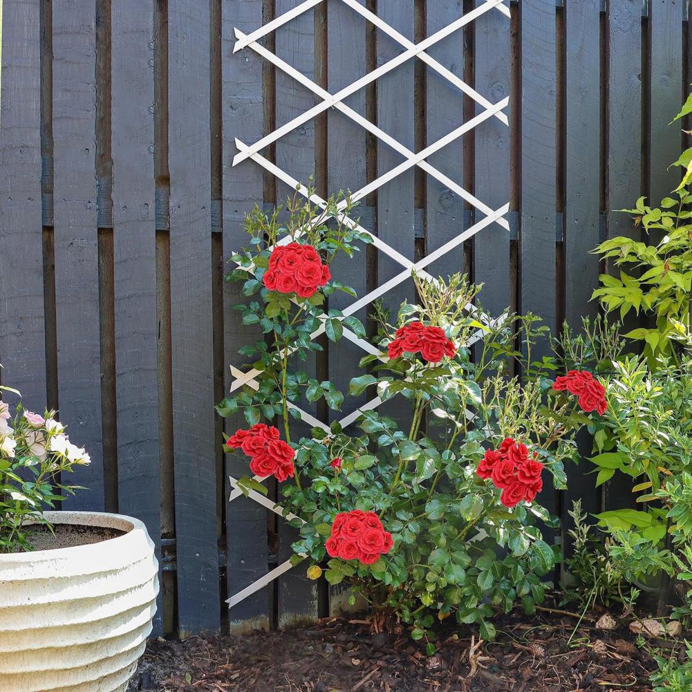 Plants X - Expandable Garden Trellis 70 x 12