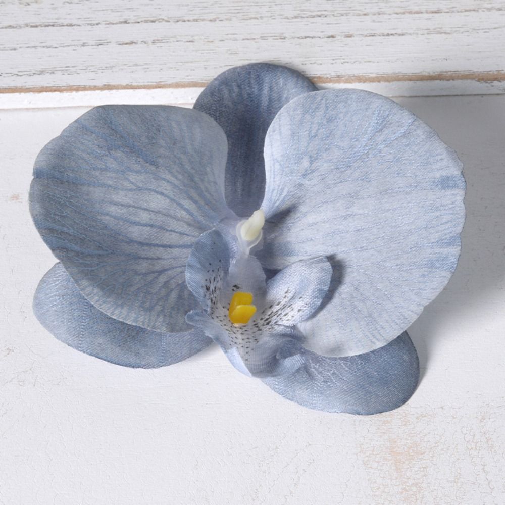Orchid Phalaenopsis - DIY Phalaenopsis Flower Head 11cm Lovely