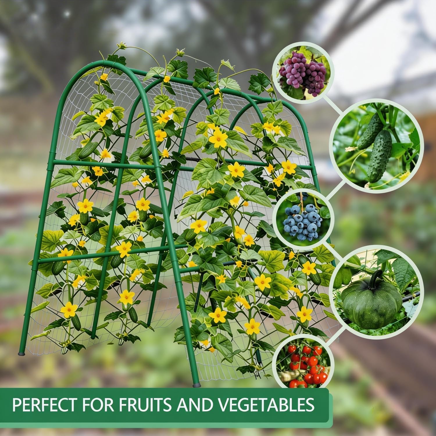 4x5.3FT Garden Arch Trellis fo - Plants X 评论和价格