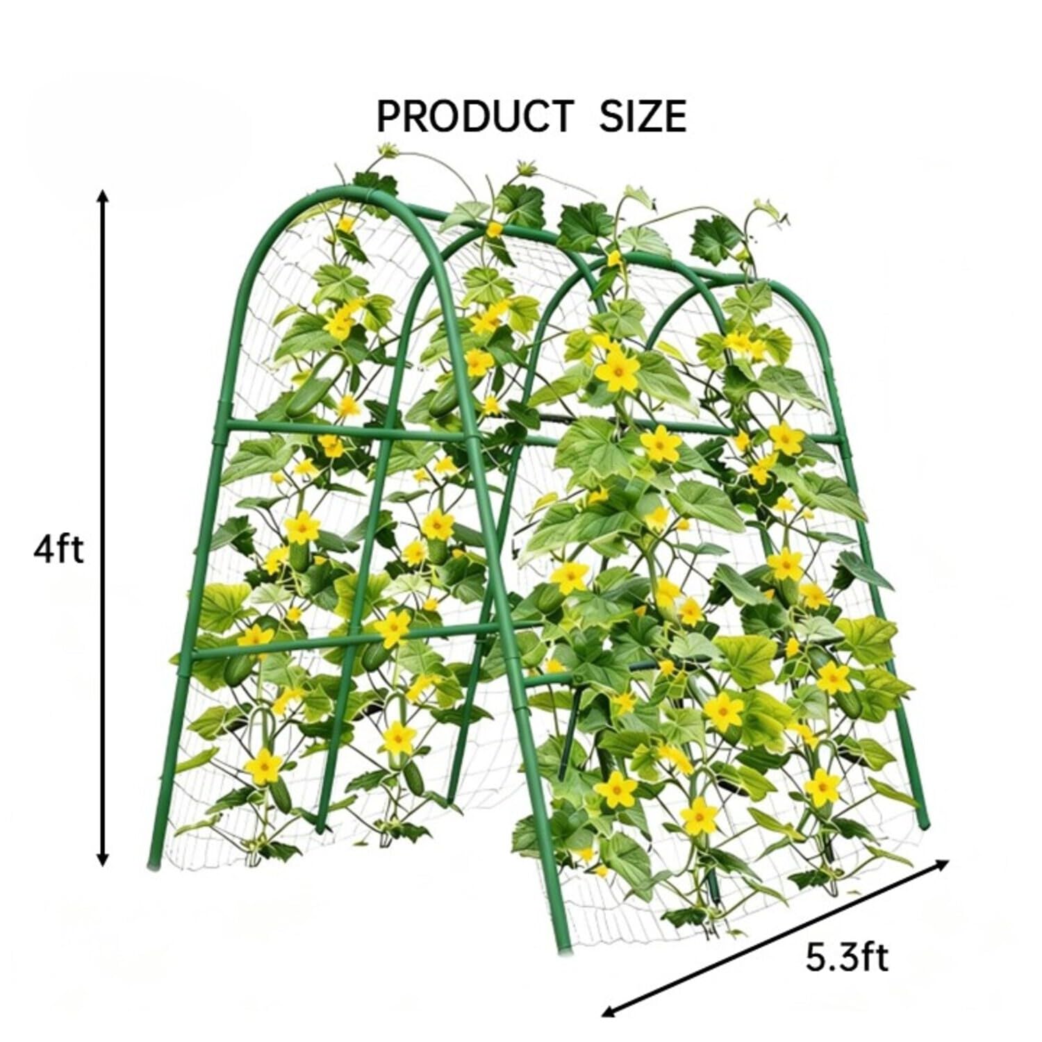 4x5.3FT Garden Arch Trellis fo - Plants X 评论和价格