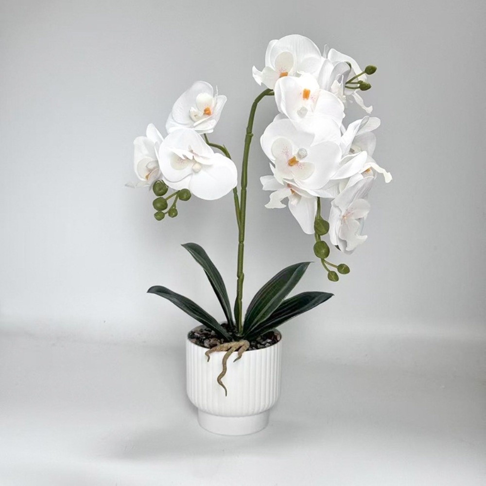 Multi-Bloom Simulated Butterfl - Orchid Phalaenopsis 评论和价格