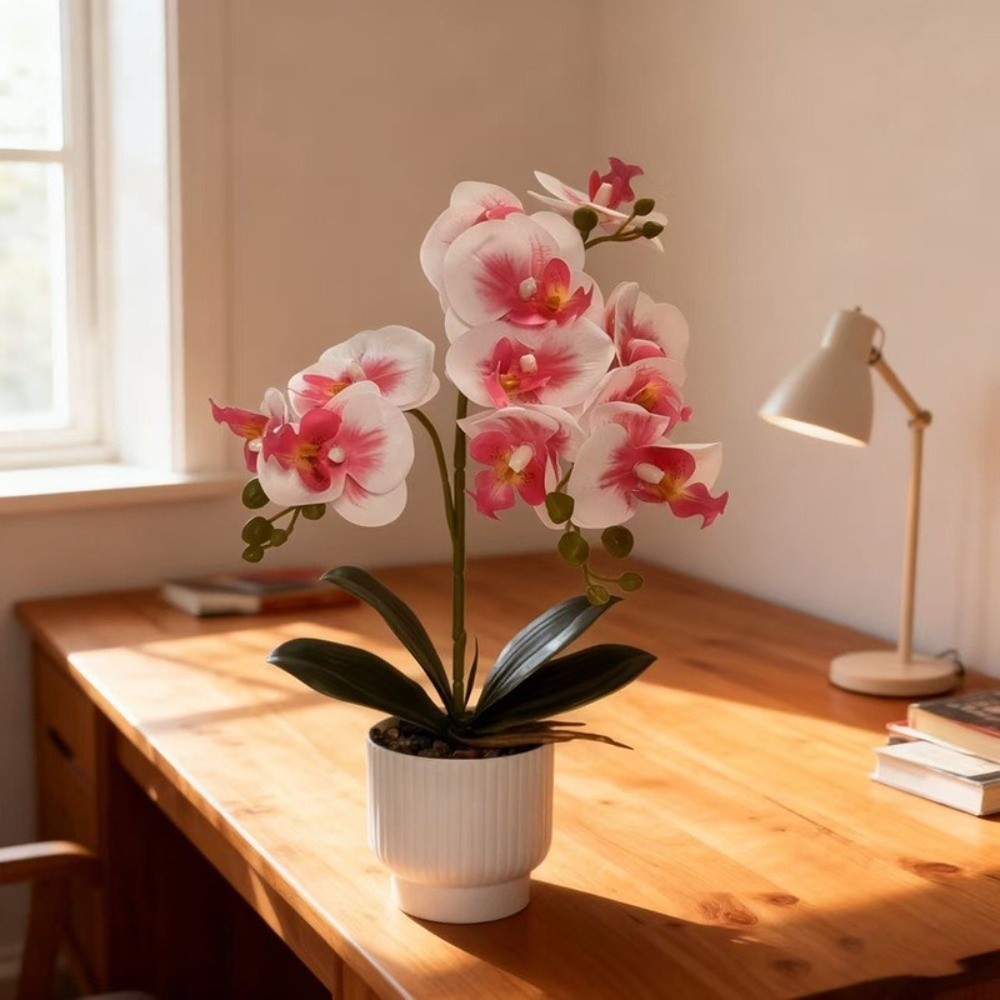 Multi-Bloom Simulated Butterfl - Orchid Phalaenopsis 评论和价格