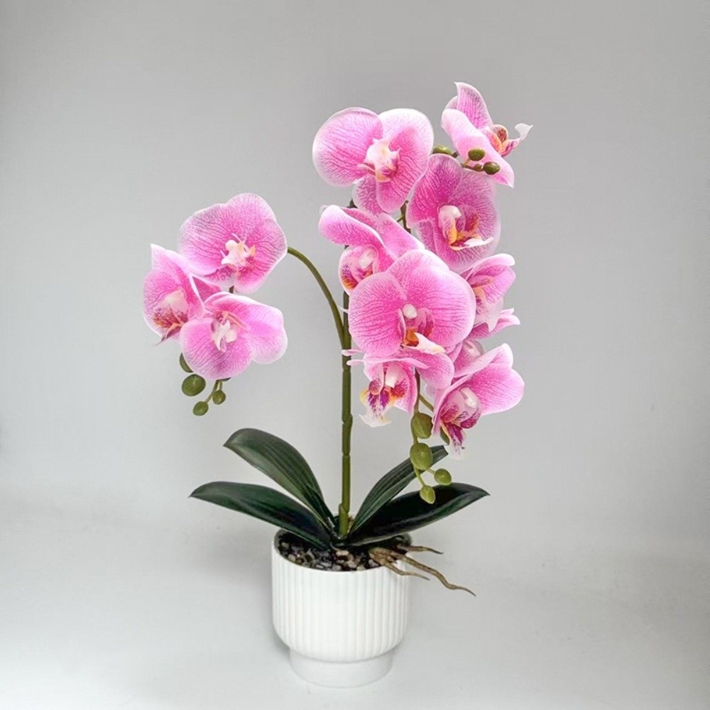 Multi-Bloom Simulated Butterfl - Orchid Phalaenopsis 评论和价格