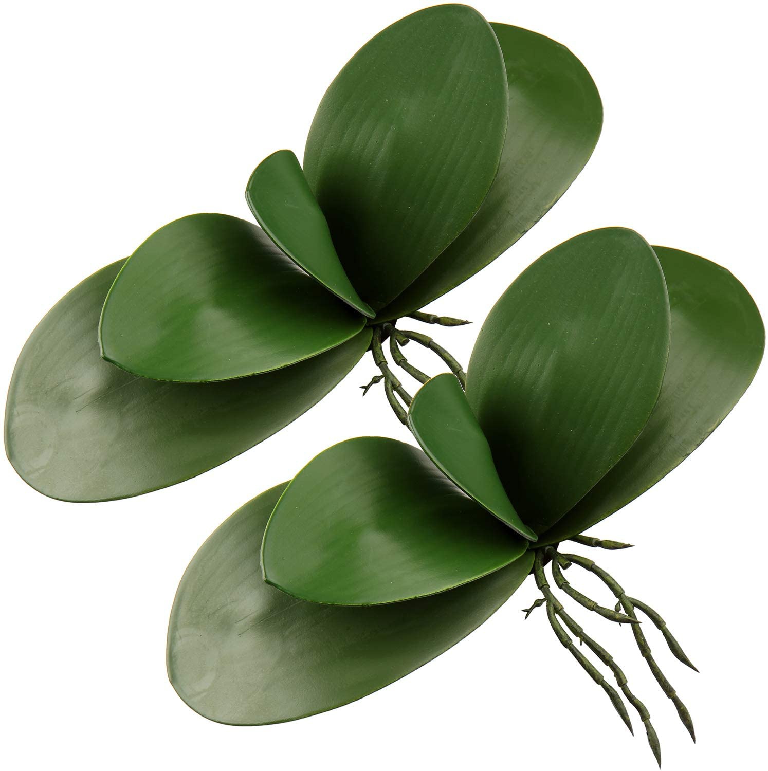 Artificial Phalaenopsis Leaves - Orchid Phalaenopsis 评论和价格