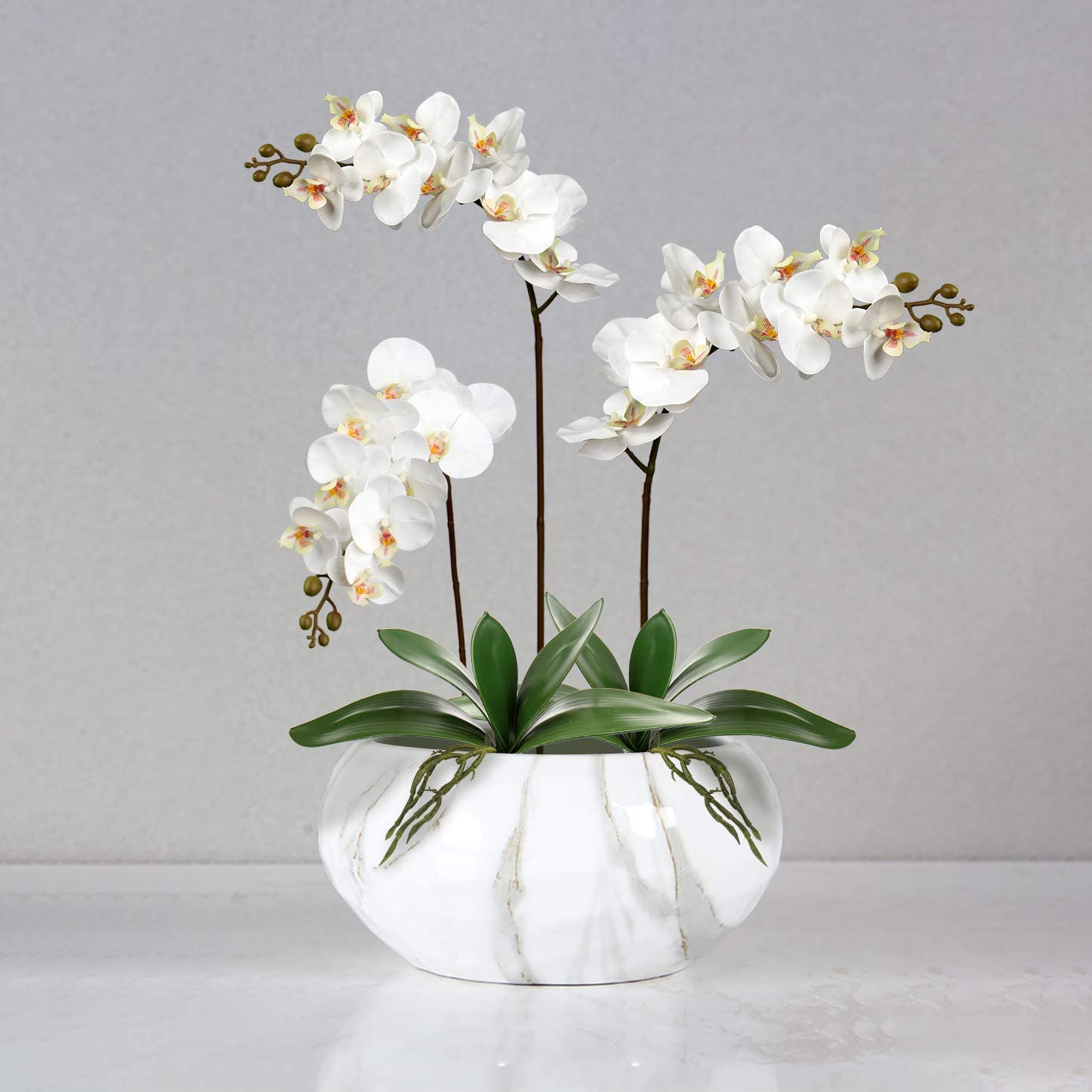 Artificial Phalaenopsis Leaves - Orchid Phalaenopsis 评论和价格