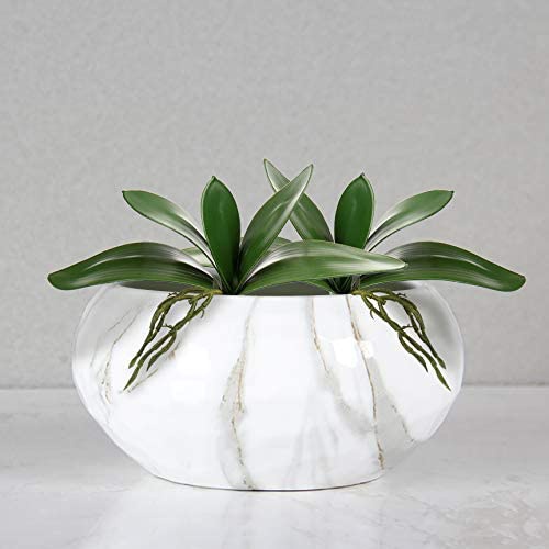 Artificial Phalaenopsis Leaves - Orchid Phalaenopsis 评论和价格