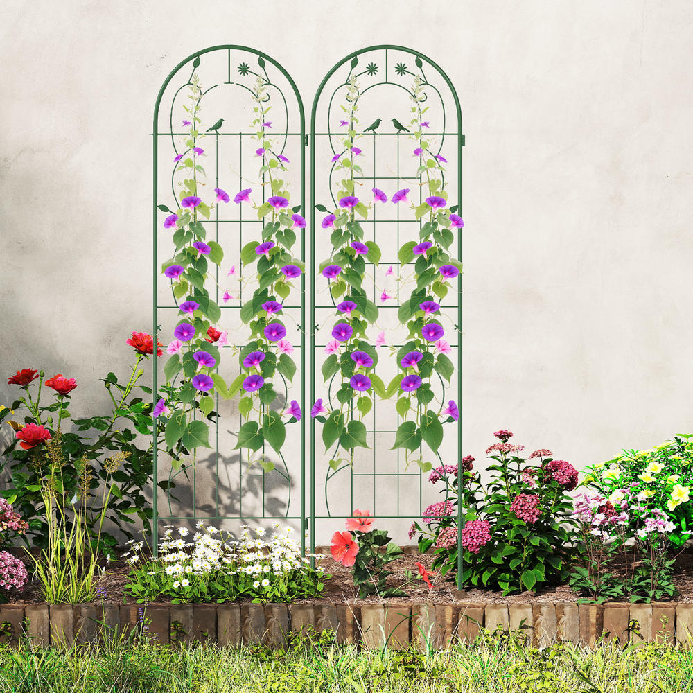 4 Pack 71 X 20 Inches Metal Ga - Plants X 评论和价格