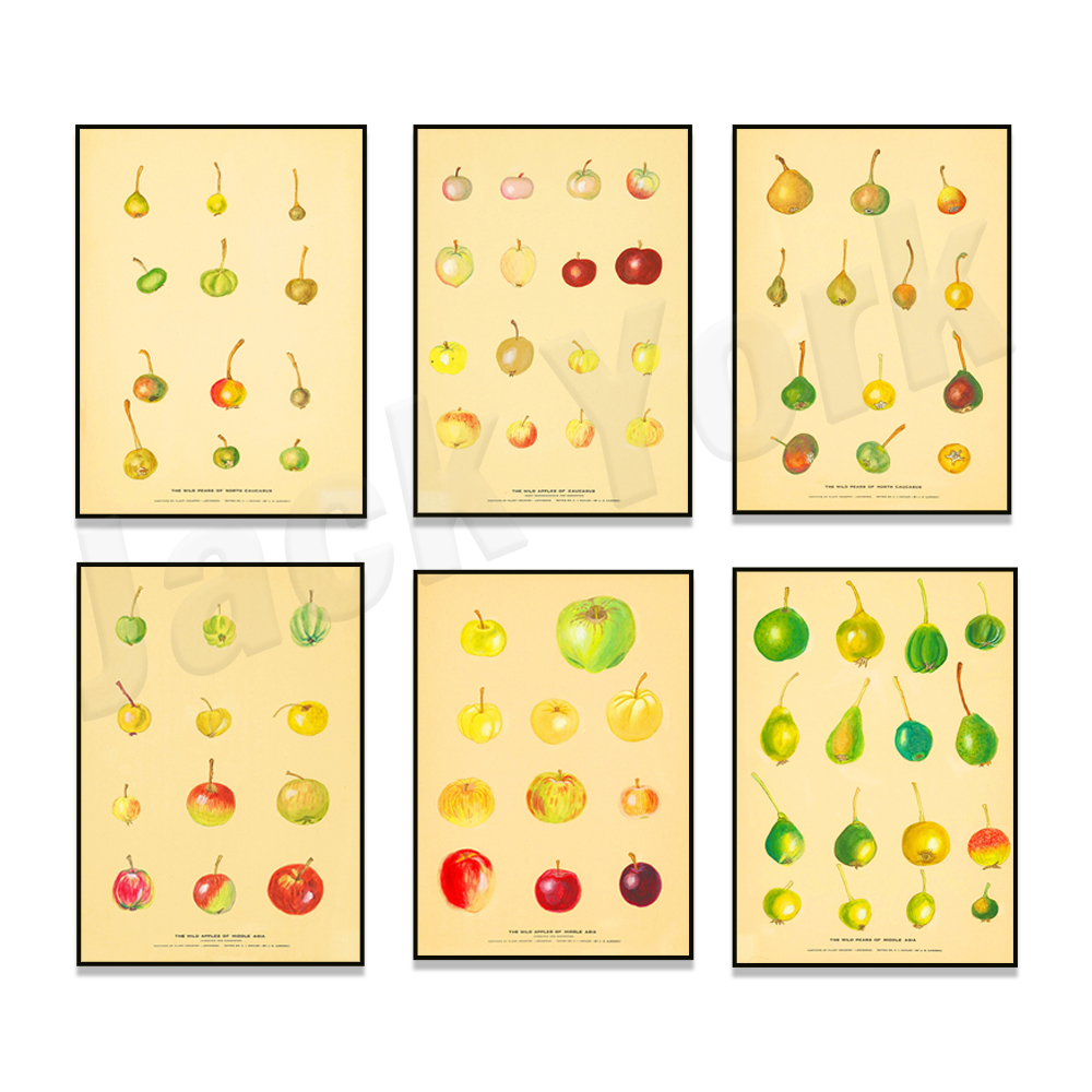 Fruit Kitchen Poster Vintage P - Plant Jackfruit 评论和价格