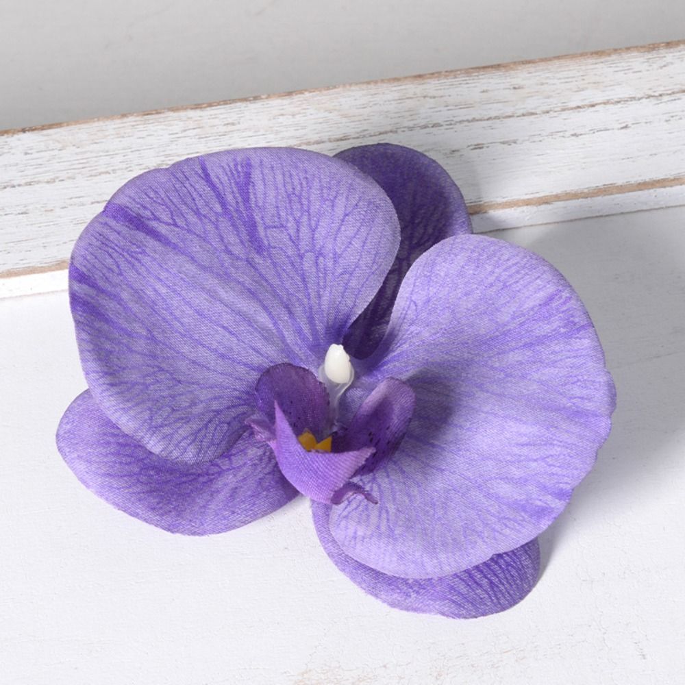 DIY Phalaenopsis Flower Head H - Orchid Phalaenopsis 评论和价格