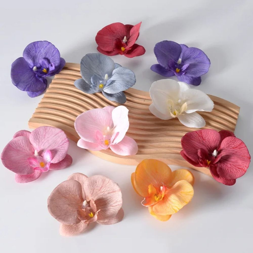 DIY Phalaenopsis Flower Head H - Orchid Phalaenopsis 评论和价格