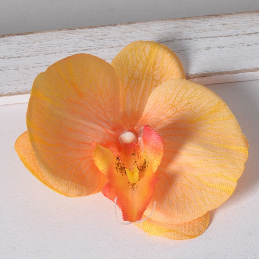 DIY Phalaenopsis Flower Head H - Orchid Phalaenopsis 评论和价格