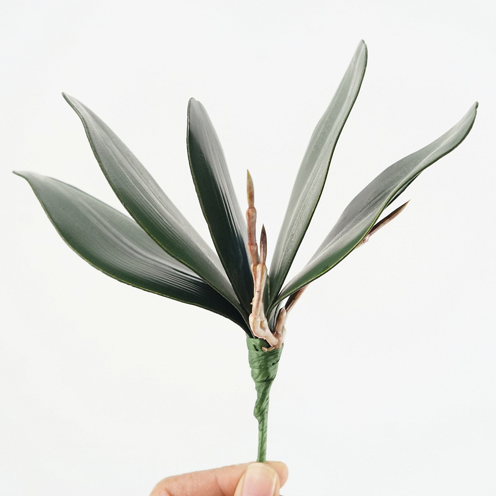 3pc Eva Simulation Phalaenopsi - Orchid Phalaenopsis 评论和价格