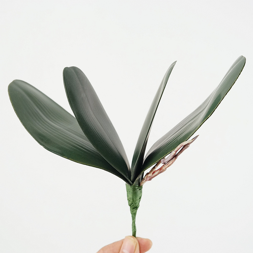 3pc Eva Simulation Phalaenopsi - Orchid Phalaenopsis 评论和价格