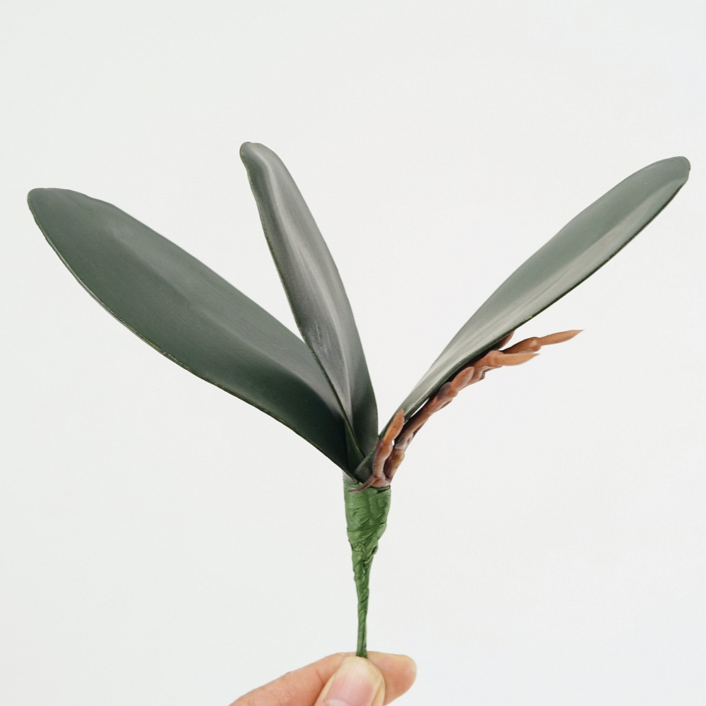 3pc Eva Simulation Phalaenopsi - Orchid Phalaenopsis 评论和价格