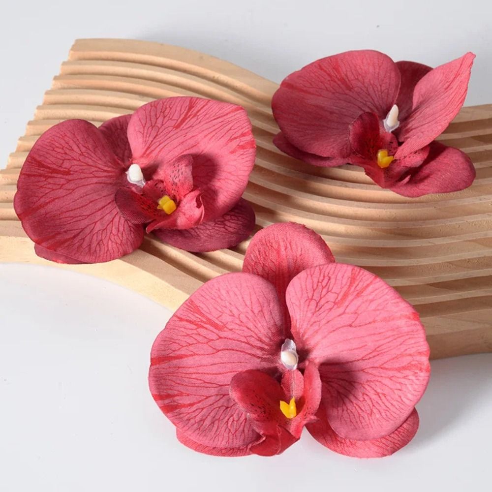 DIY Phalaenopsis Flower Head 1 - Orchid Phalaenopsis 评论和价格