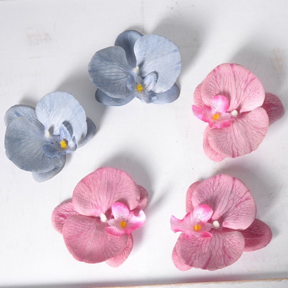 DIY Phalaenopsis Flower Head 1 - Orchid Phalaenopsis 评论和价格