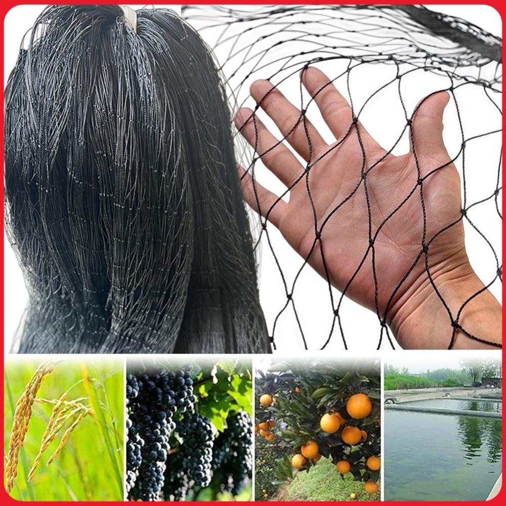 Nylon Bird Netting Garden Bird - Plants X 评论和价格