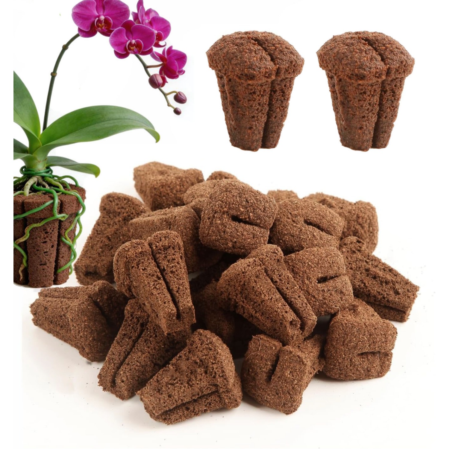 Hydroponic Rapid Grow Rooting  - Orchid Phalaenopsis 评论和价格