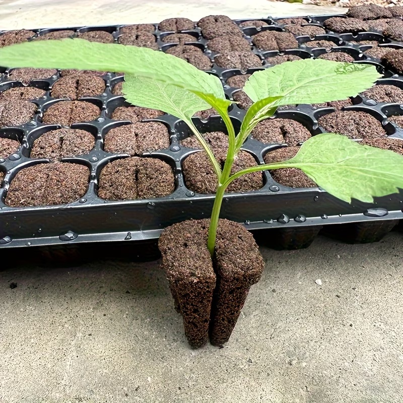Hydroponic Rapid Grow Rooting  - Orchid Phalaenopsis 评论和价格