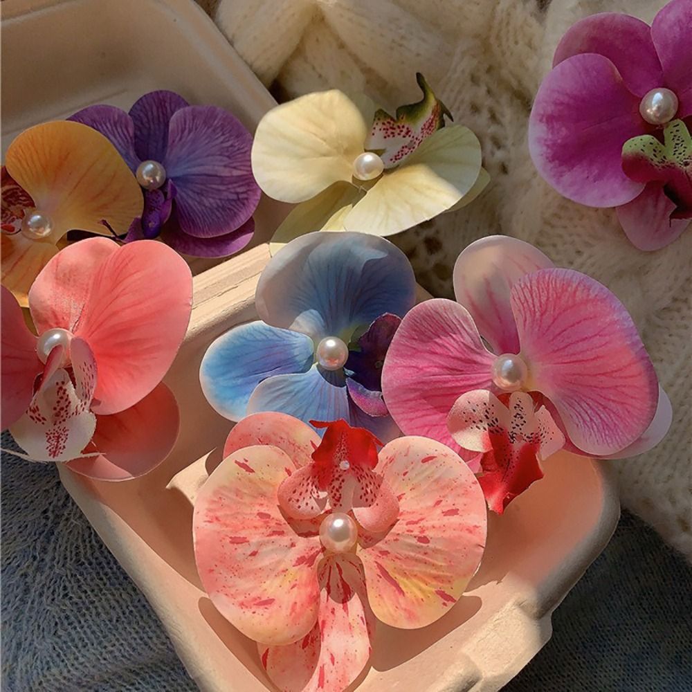 1Pcs Duckbill Clip Orchid Butt - Orchid Phalaenopsis 评论和价格