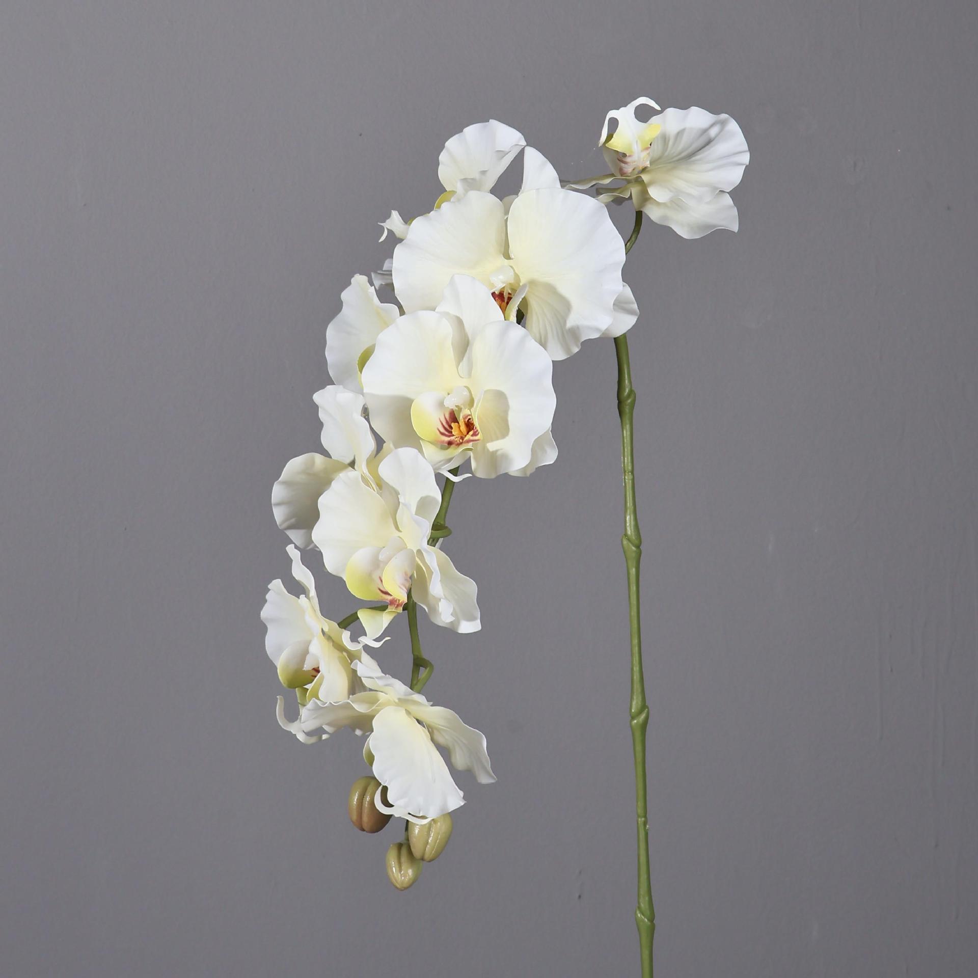 38.6 Inch 9 Heads Korean Style - Orchid Phalaenopsis 评论和价格